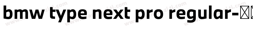 bmw type next pro regular字体转换